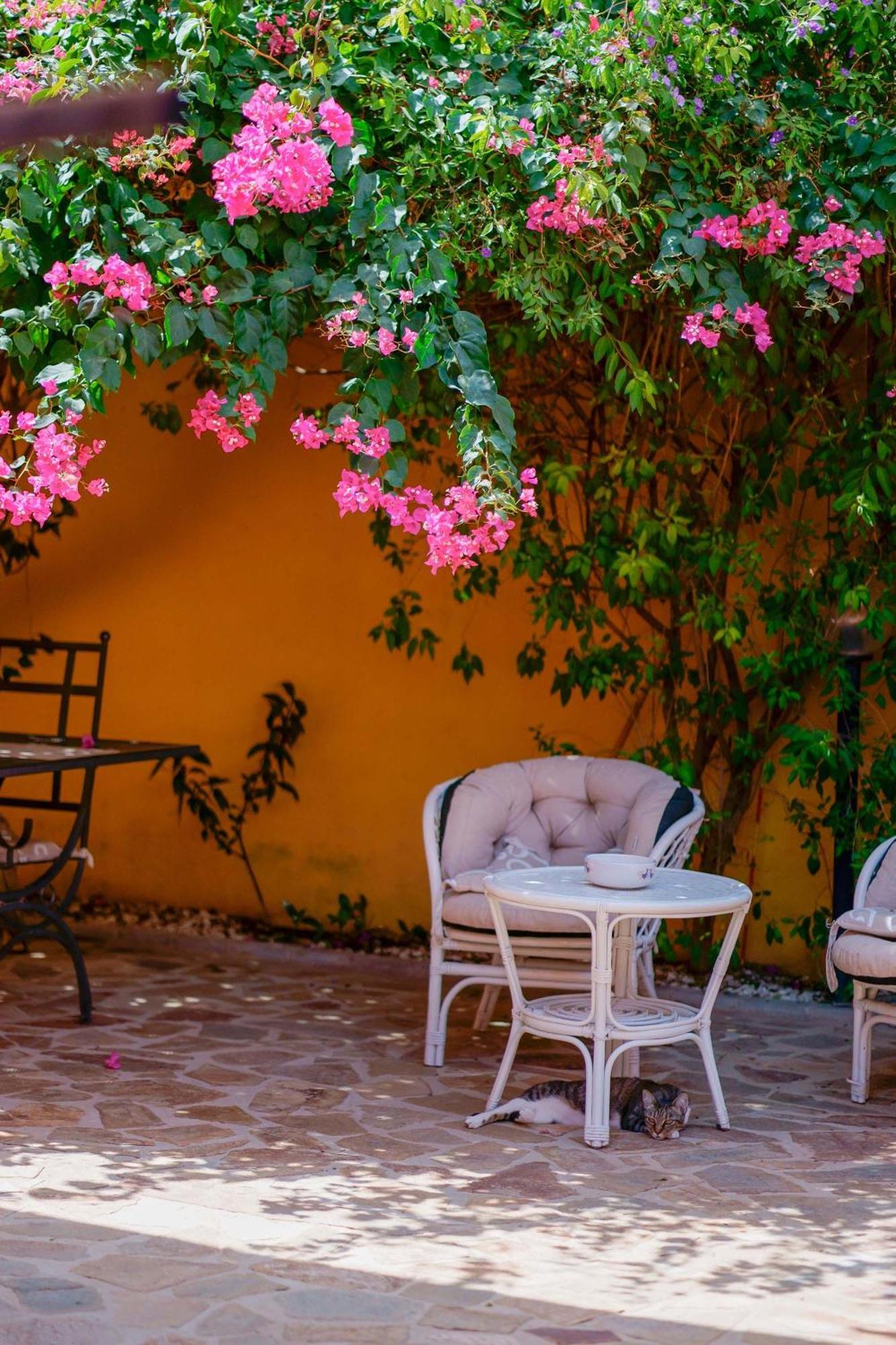 Il Piccolo Giardino Rooms & Breakfast Villasimius Bagian luar foto