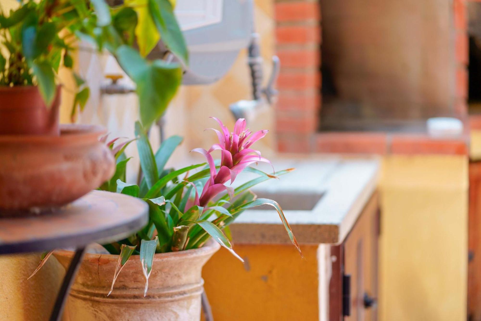 Il Piccolo Giardino Rooms & Breakfast Villasimius Bagian luar foto